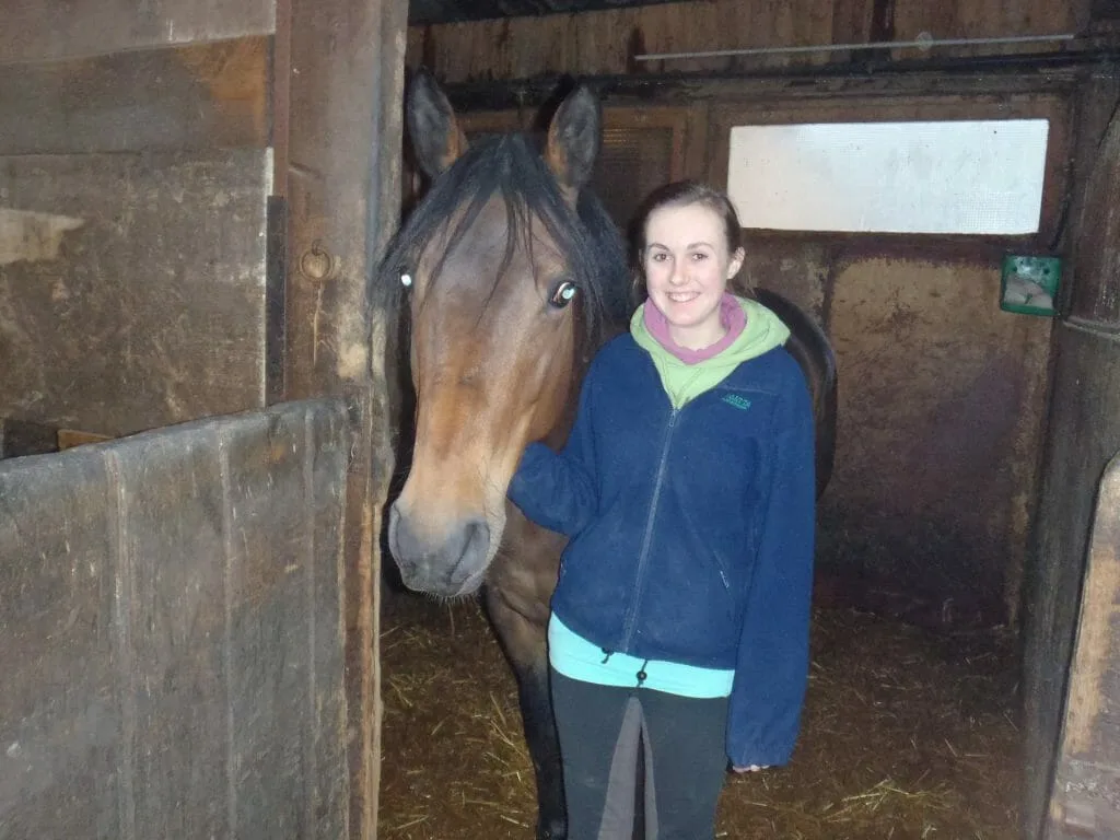 Stables Work Experience Abroad Placement Animals