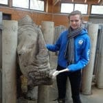 Zoo Zoo Work Experience Abroad Placement Animals
