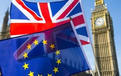 Navigating Global Pandemic, Post-Brexit Britain as a Linguist
