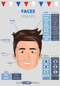 Face Parts - French Poster