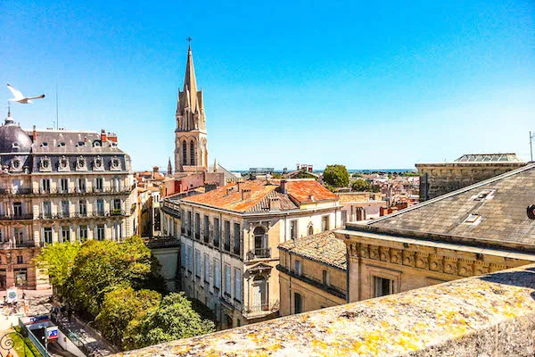 Montpellier Language School