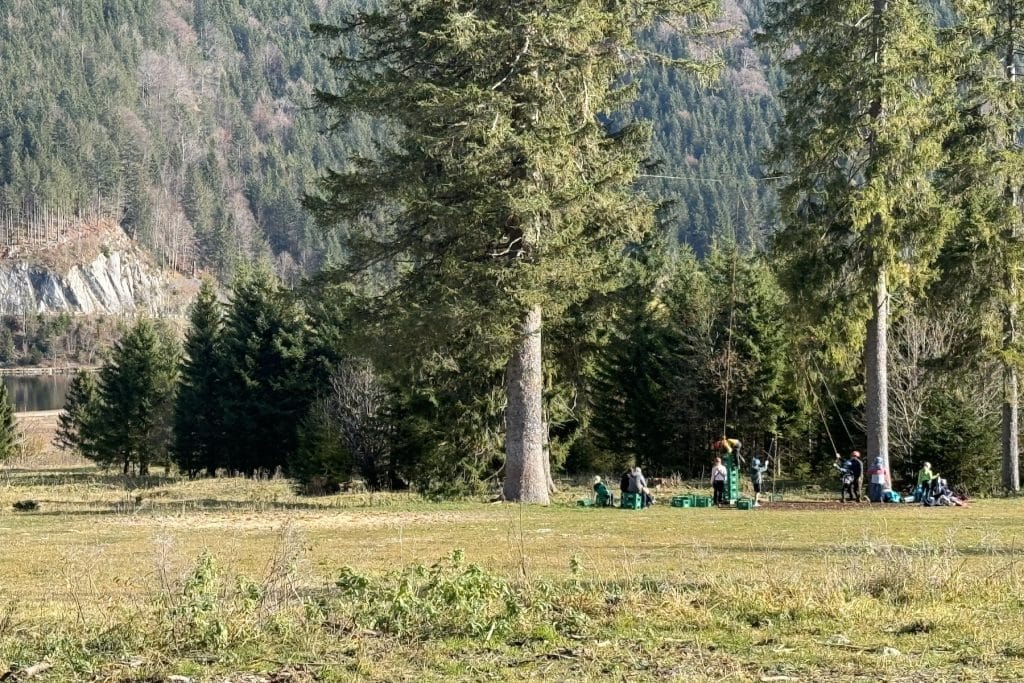 German Summer Adventure Camp