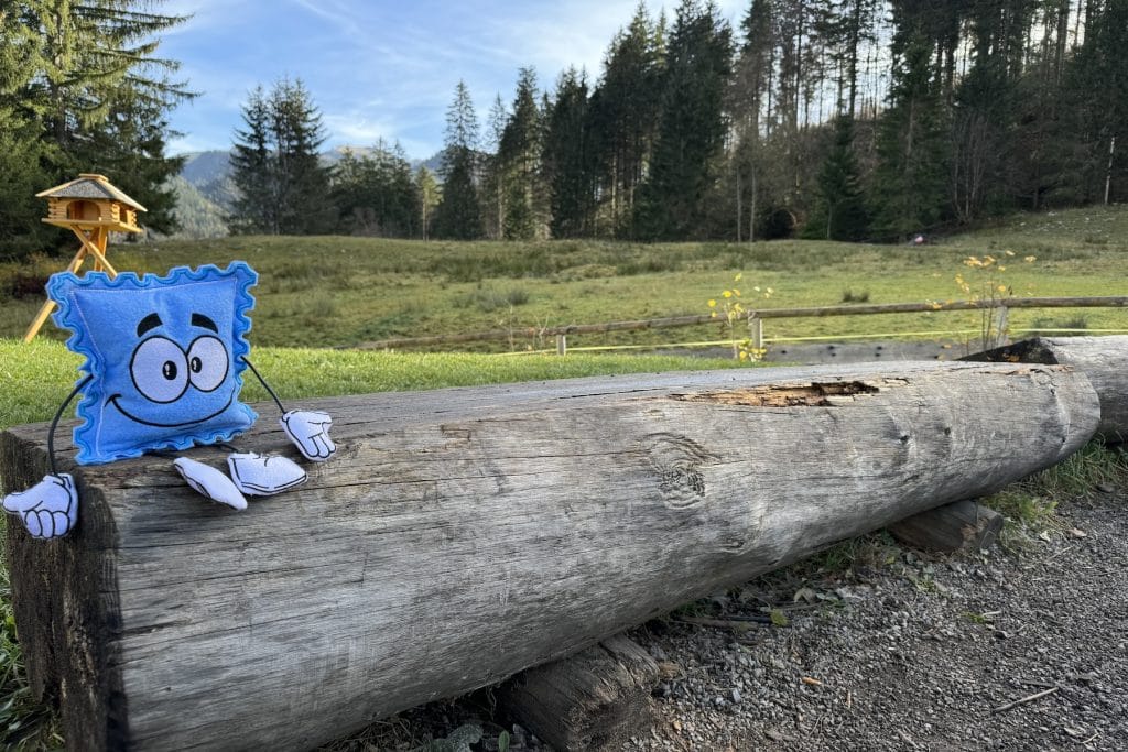 German Summer Adventure Camp