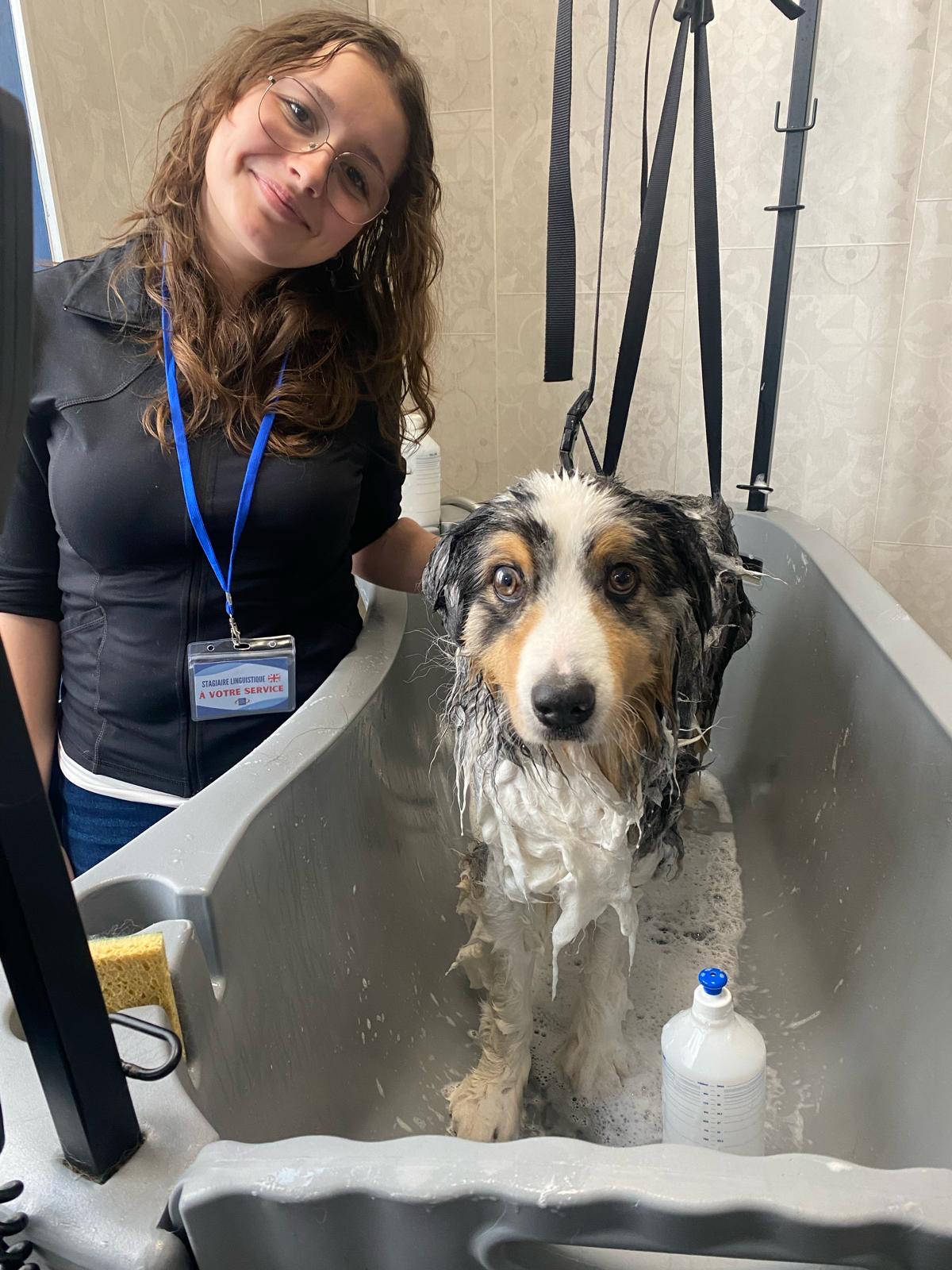 Student in dog groomers work placement