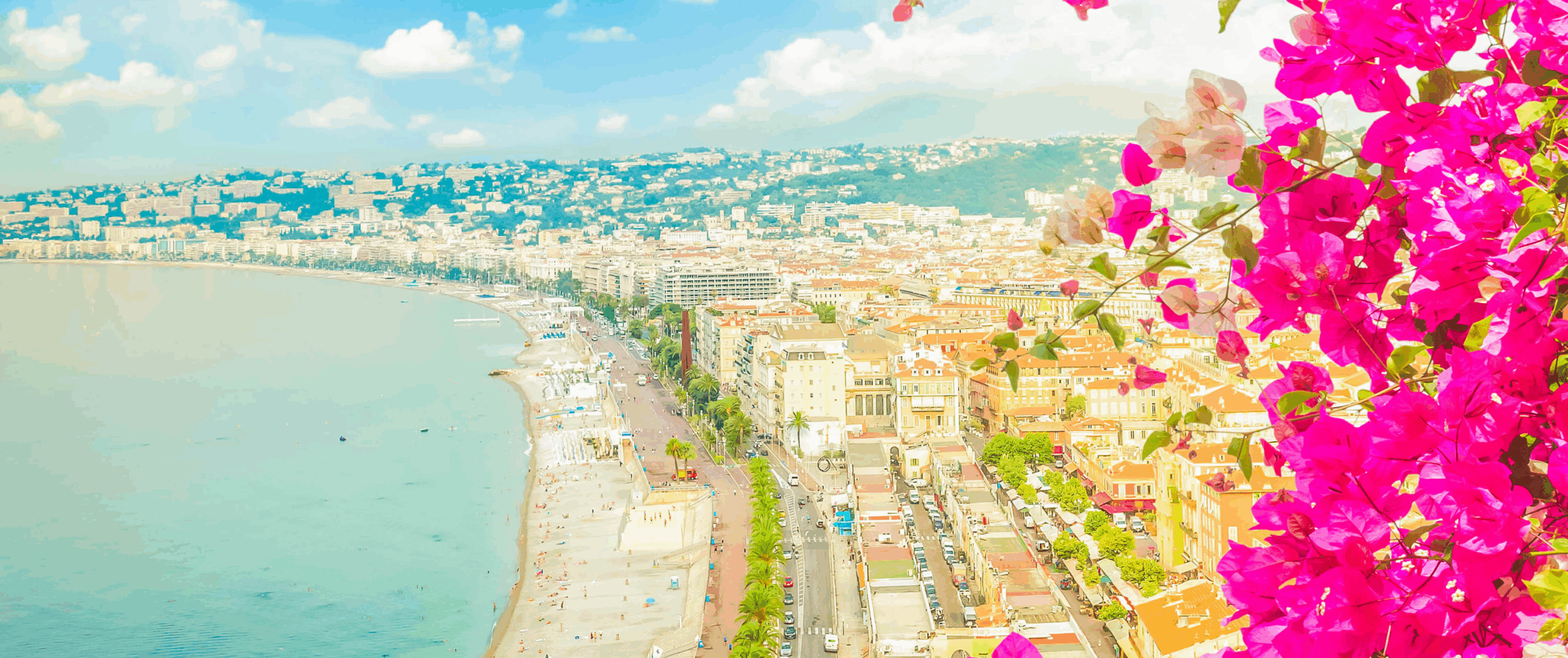 France | Nice | Work and Study