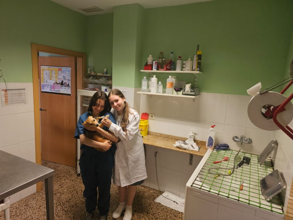 Two students in vet placement