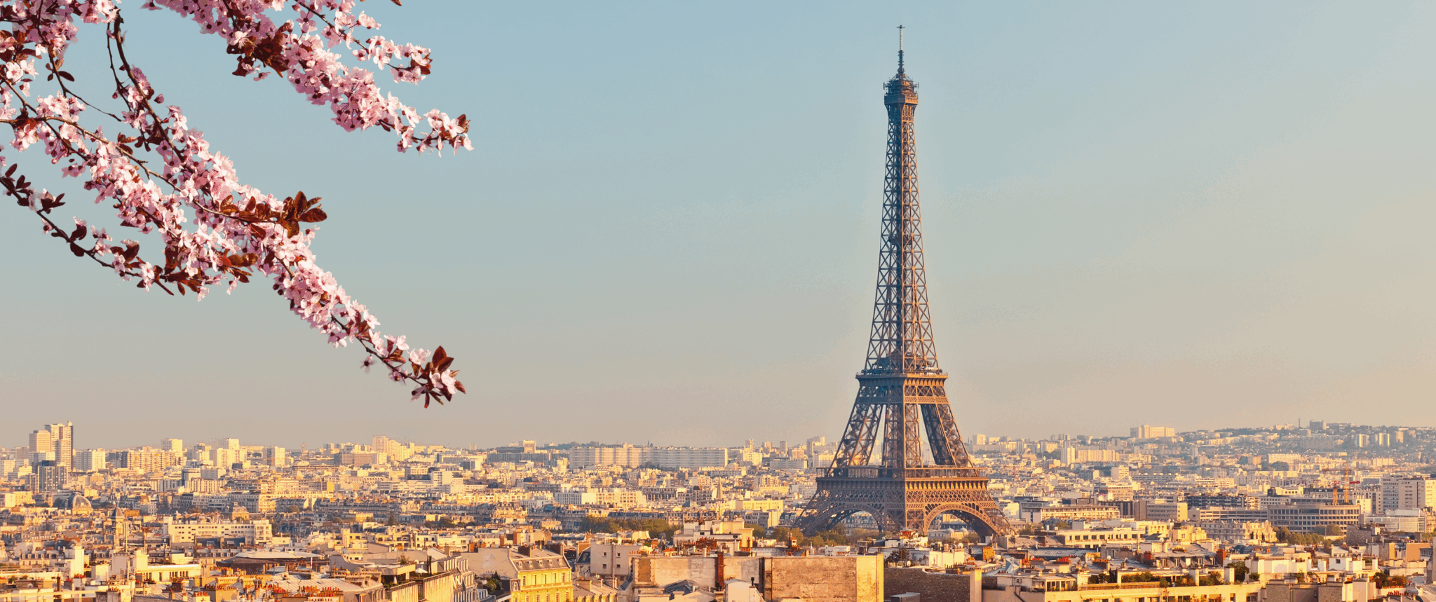 France | Paris | Work and Study