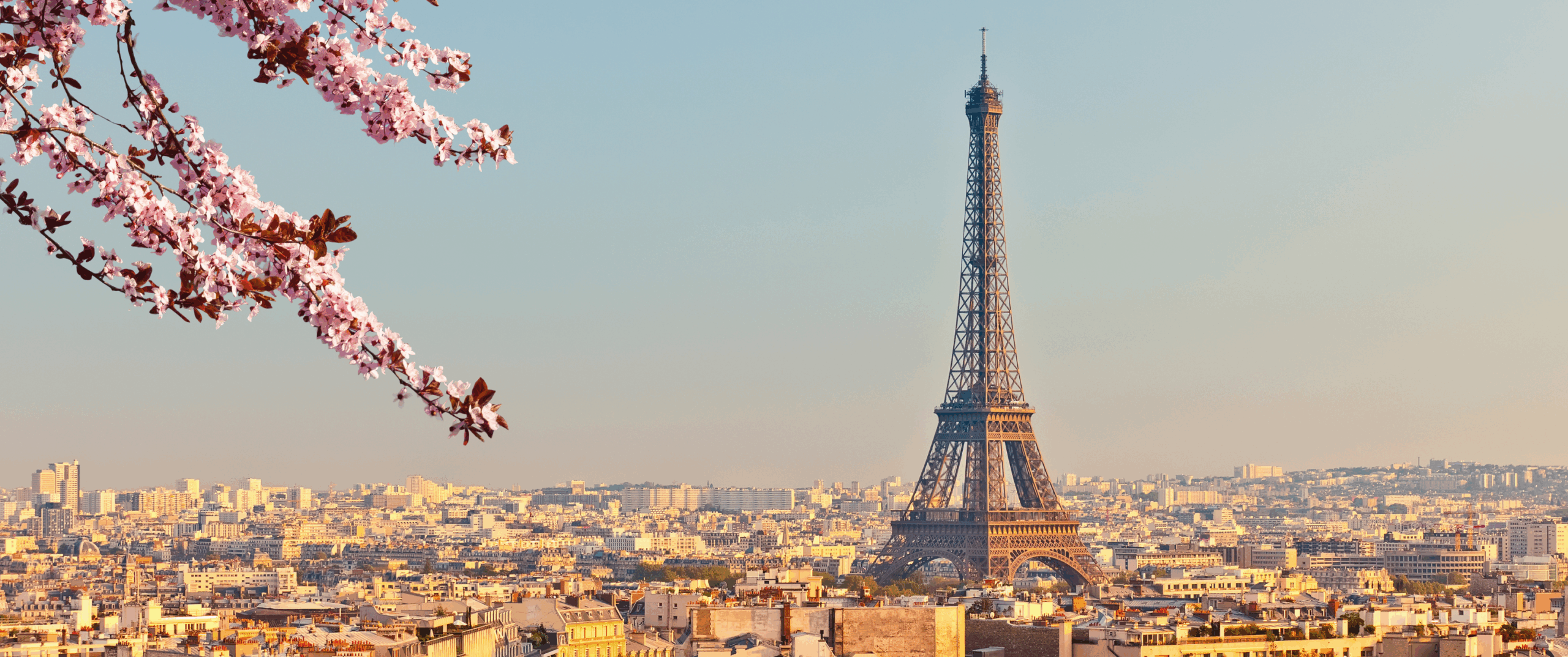 France | Paris | Work and Study