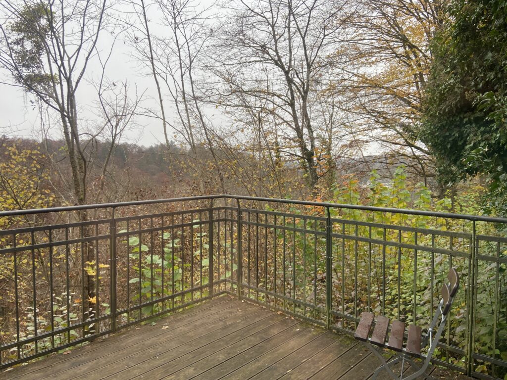 View from Munich castle