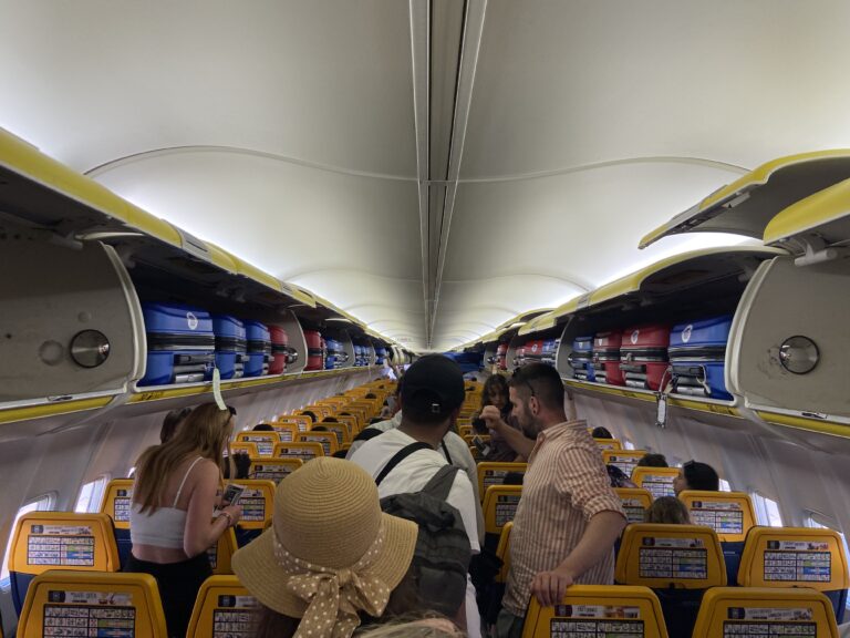 Blue Stamp suitcases in the cabin luggage.