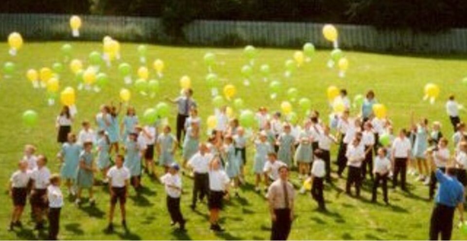 Photo of a primary school playground.