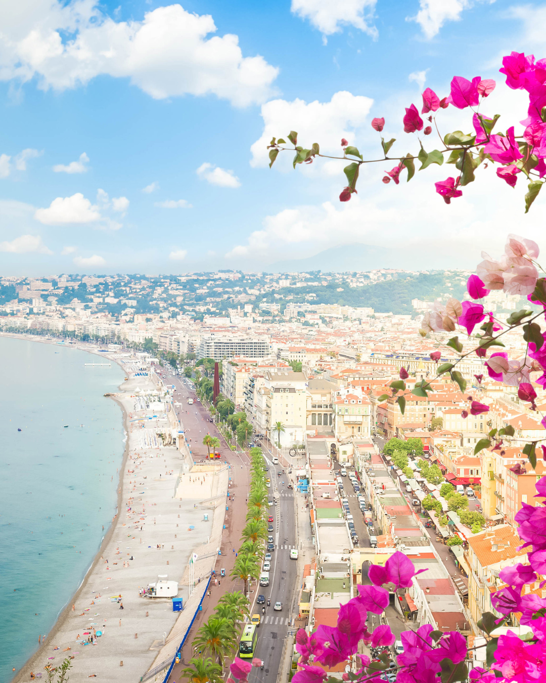 A view of Nice beach from above, with pink flowers in the foreground