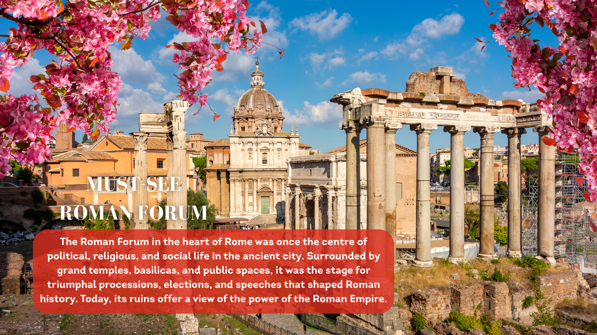 The ruins of the Roman Forum are framed to left and right by bright pink cherry blossom
