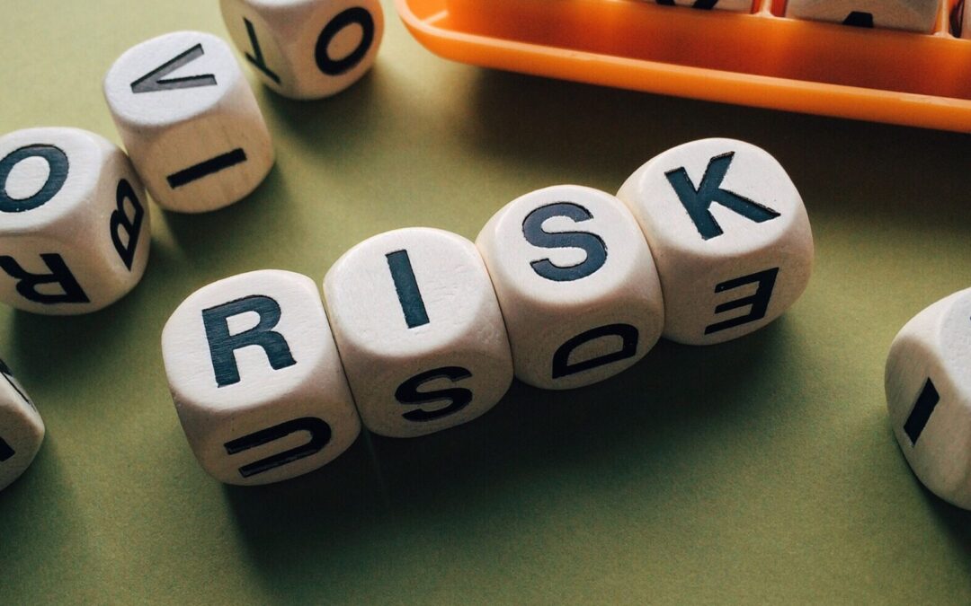 Prepare for the Worst, Hope for the Best: A Guide to Some Key Aspects of Risk Assessment