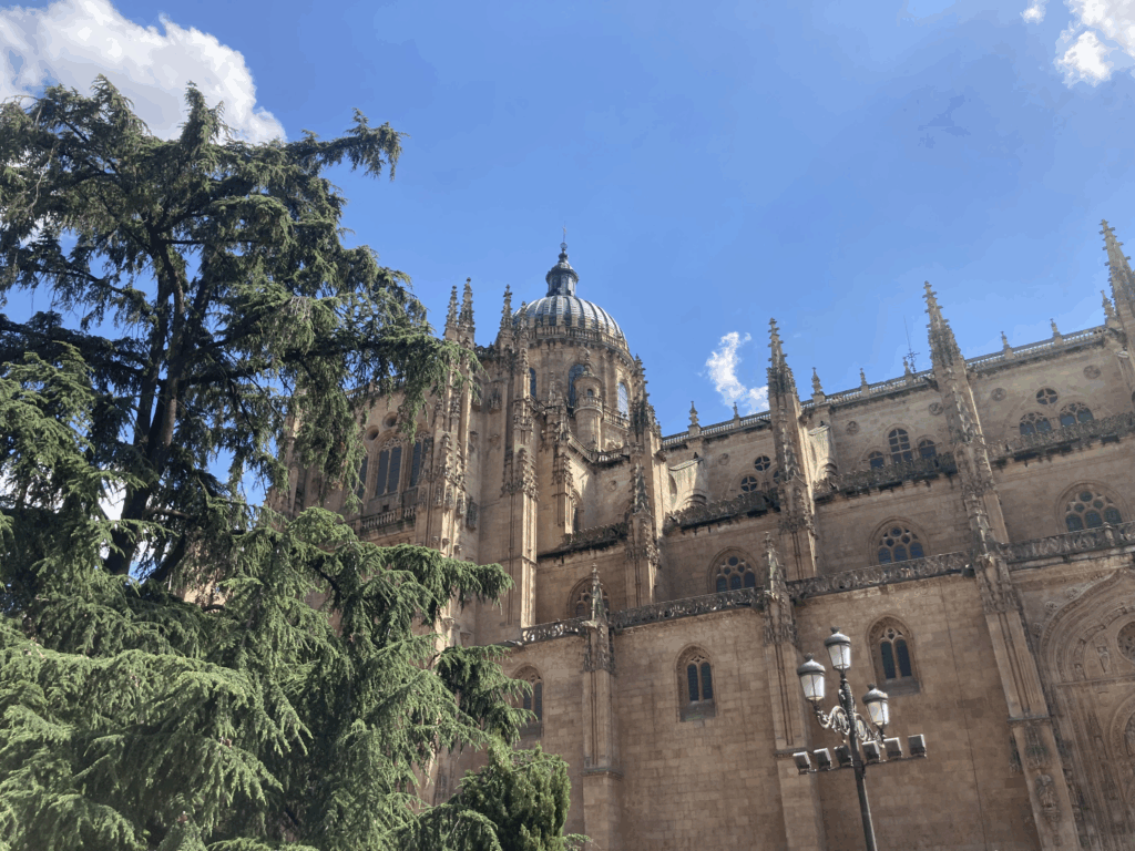 Salamanca Spanish Summer Camp