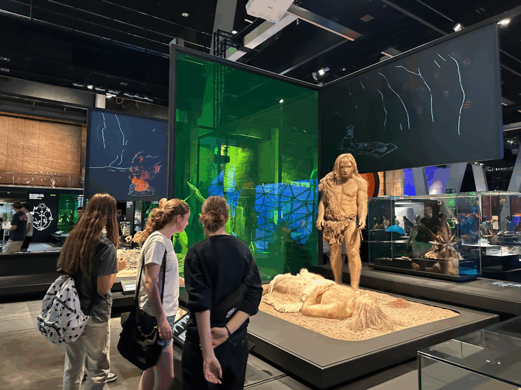 A group of students looking at a museum exhibit of early humans