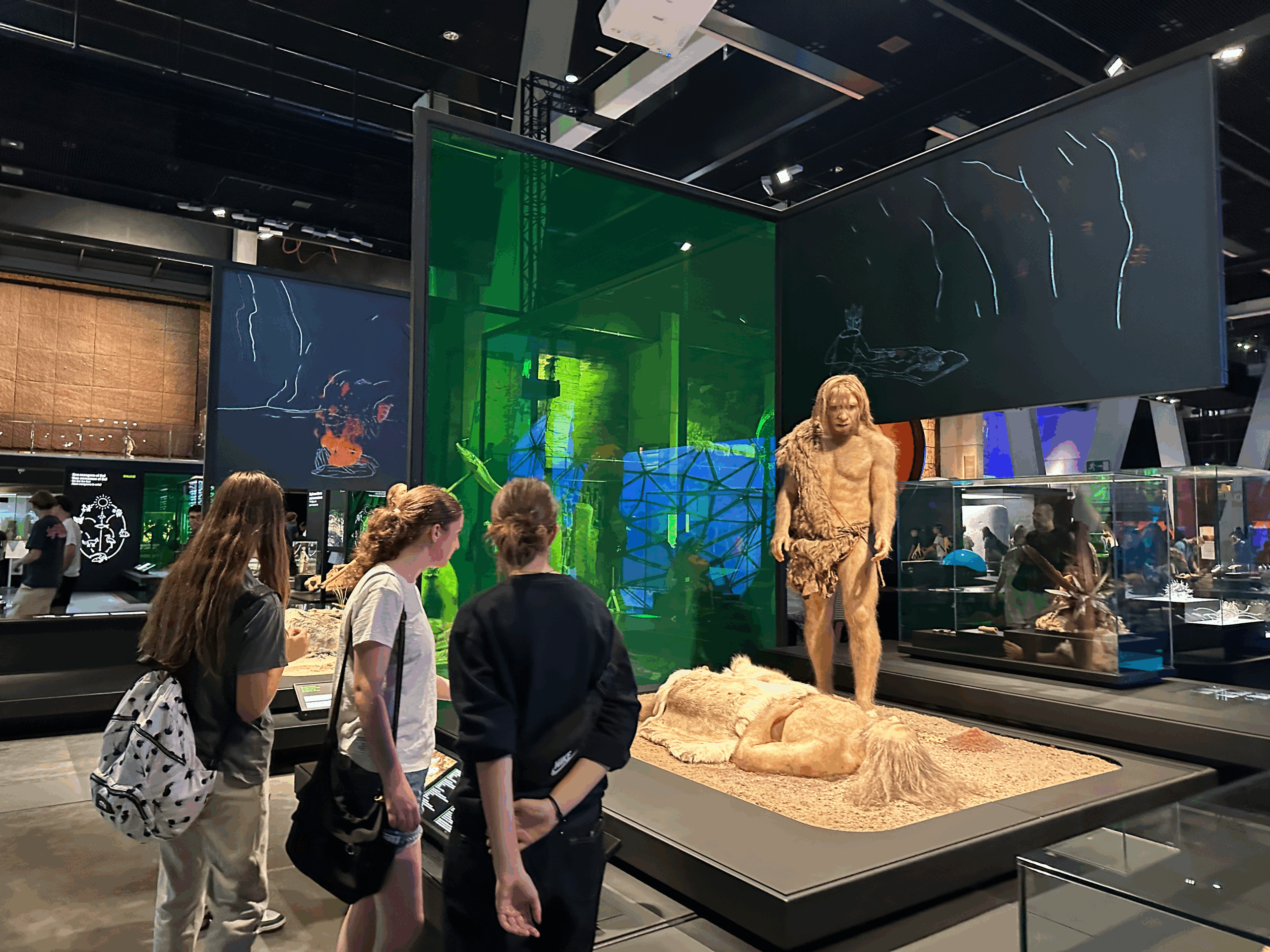 A group of students looking at a museum exhibit of early humans