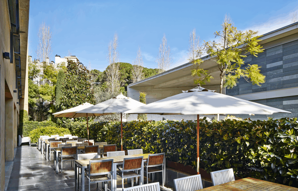 a sunny terrace area with tables and umbrellas.