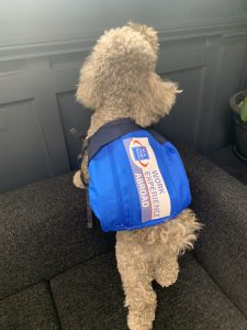 Koda wearing a Work Experience Abroad backpack.